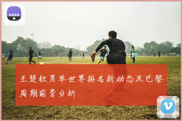 王楚钦男单世界排名新动态及巴黎周期前景分析